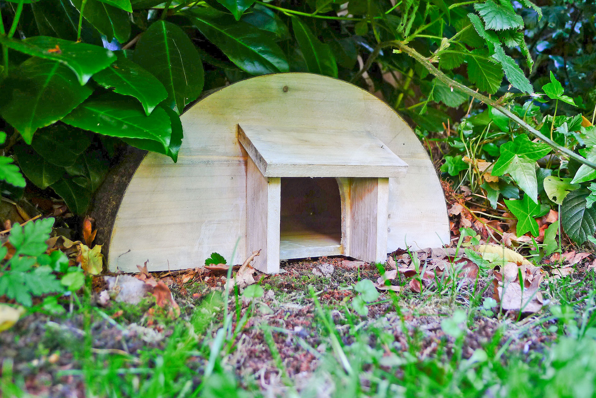 Pindsvinehus. Foto: Flickr