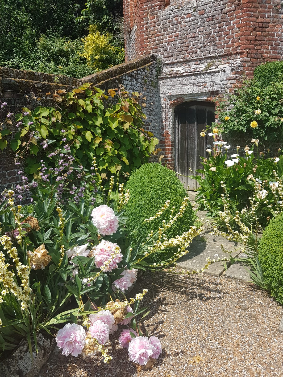 Anna Ribo - havegang 