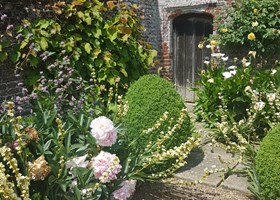 Anna Ribo - havegang