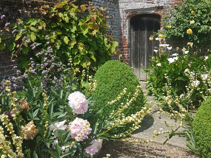 Anna Ribo - havegang