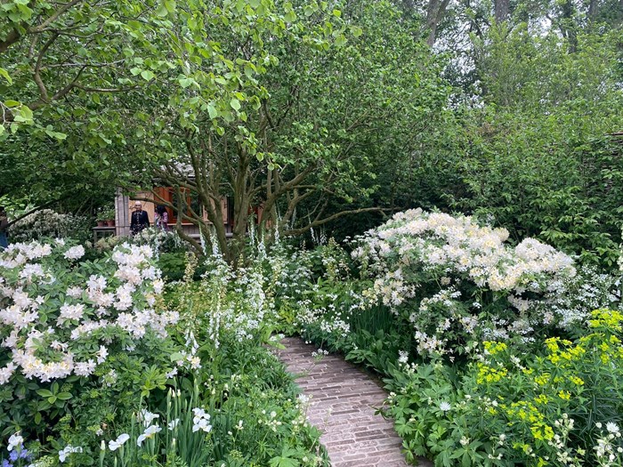 Showhave ved Chelsea Flower Show med Haveselskabet