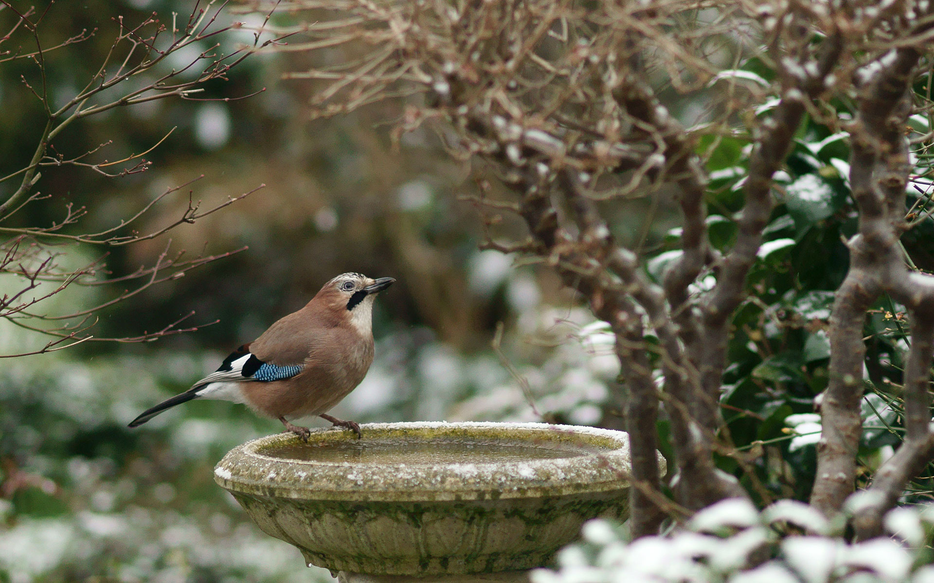 Foto: Flickr, Peter Trimming