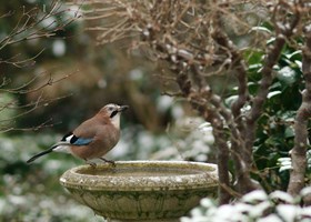 Foto: Flickr, Peter Trimming