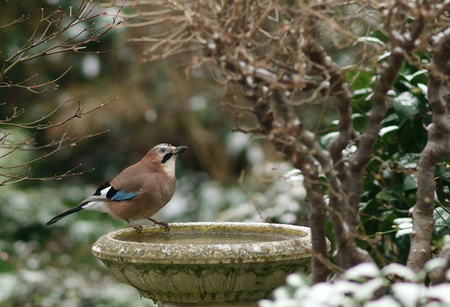 Foto: Flickr, Peter Trimming