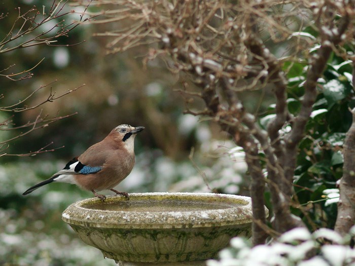 Foto: Flickr, Peter Trimming