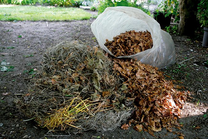 Brunt og tørt materiale til kompostbunken. Foto: Ann Malmgren