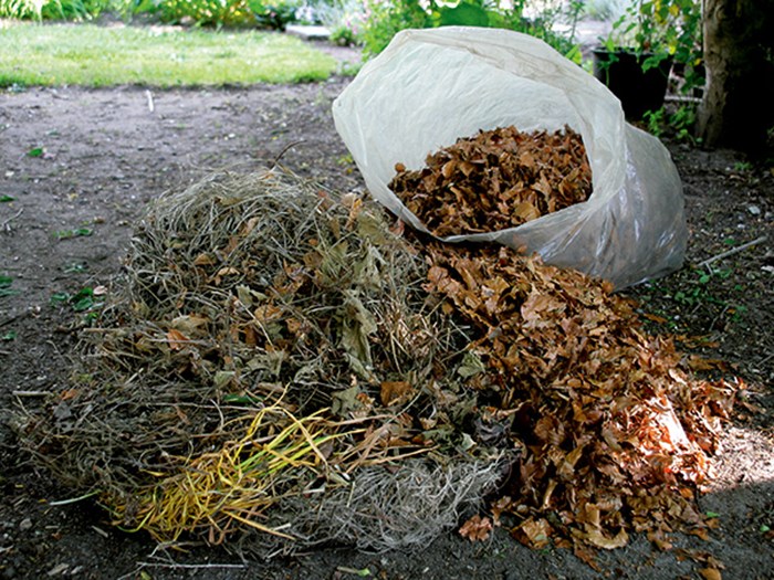 Brunt og tørt materiale til kompostbunken. Foto: Ann Malmgren