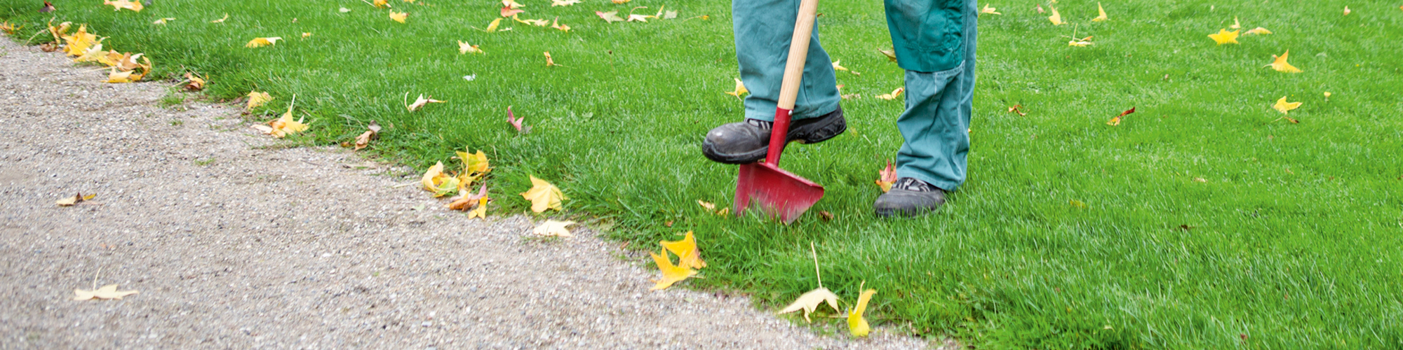 Kantskærer. Foto: Ida Wang