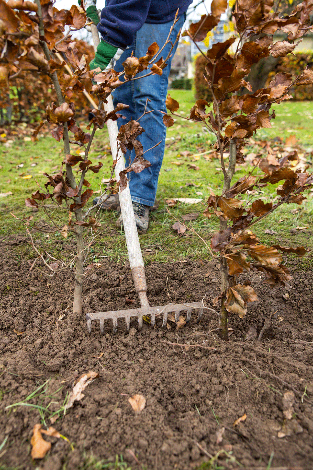 Trin 6. Jorden jævnes. Foto: Lene K