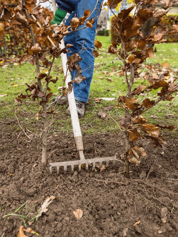 Trin 6. Jorden jævnes. Foto: Lene K