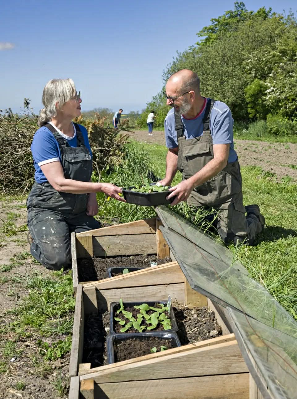 Afgrødernes væskt skal vendes