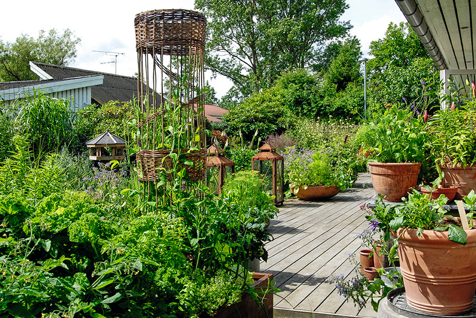 Terrassen hos Tivolis chefgartner Tom Knudsen prydes af utallige store og små krukker. Foto: Nina Ewald