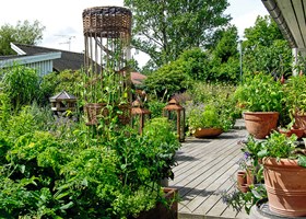 Terrassen hos Tivolis chefgartner Tom Knudsen prydes af utallige store og små krukker. Foto: Nina Ewald
