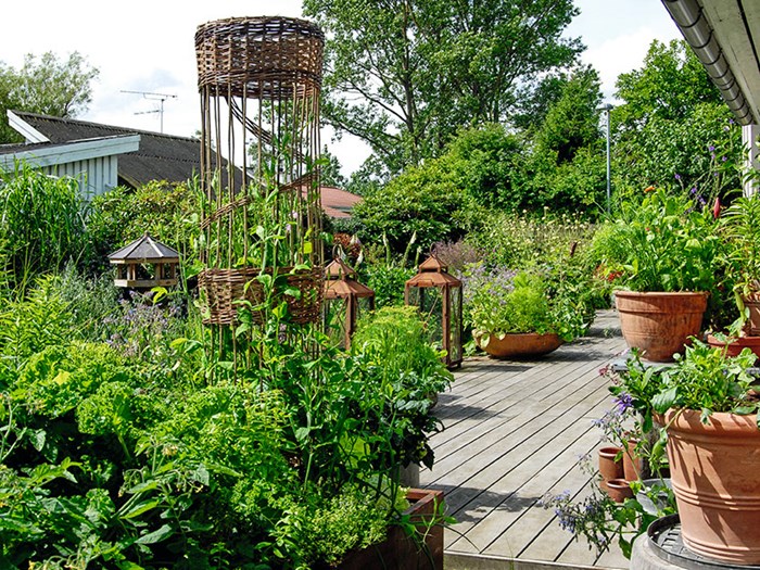 Terrassen hos Tivolis chefgartner Tom Knudsen prydes af utallige store og små krukker. Foto: Nina Ewald