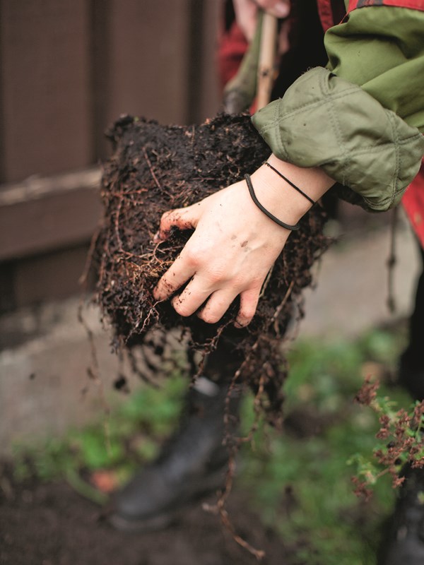 Foto: Frank Kirkegaard