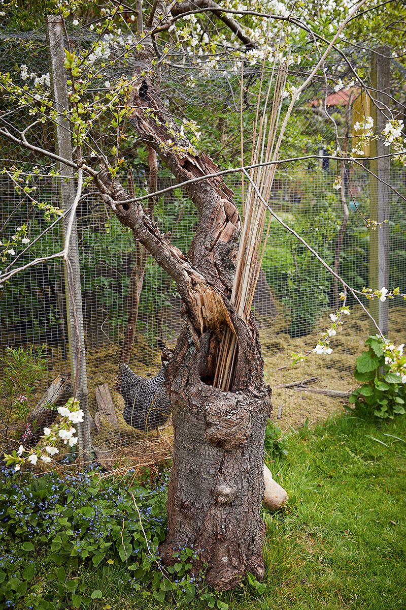 Foto: Thomas Evaldsen