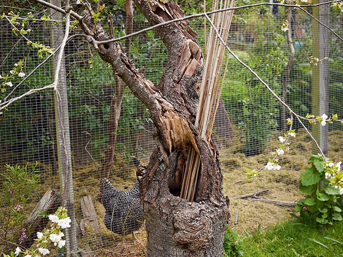 Foto: Thomas Evaldsen