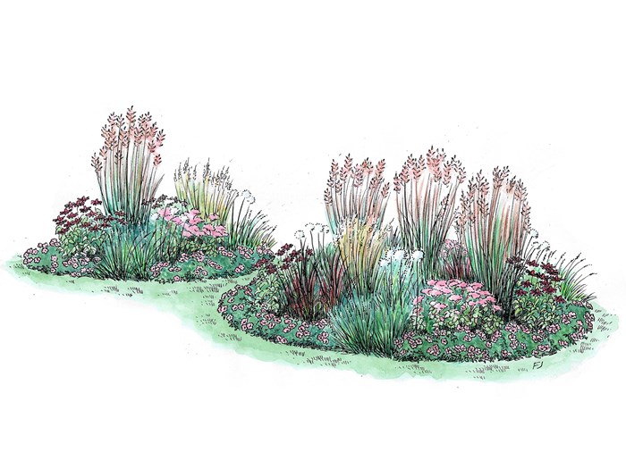 Bedplan: Runde bede med prydgræsser og stauder