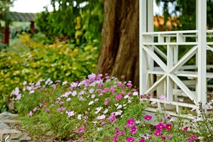 Haven på Frederiksberg. Foto: Martin Sølyst