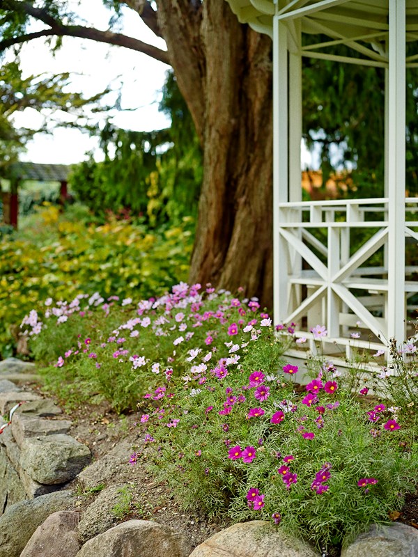 Haven på Frederiksberg. Foto: Martin Sølyst