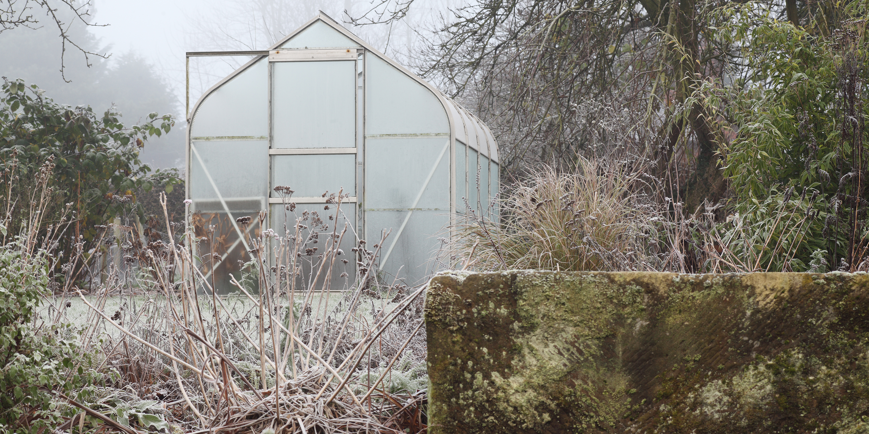 Rimfrosten har lagt sig over haven. Foto: Istock