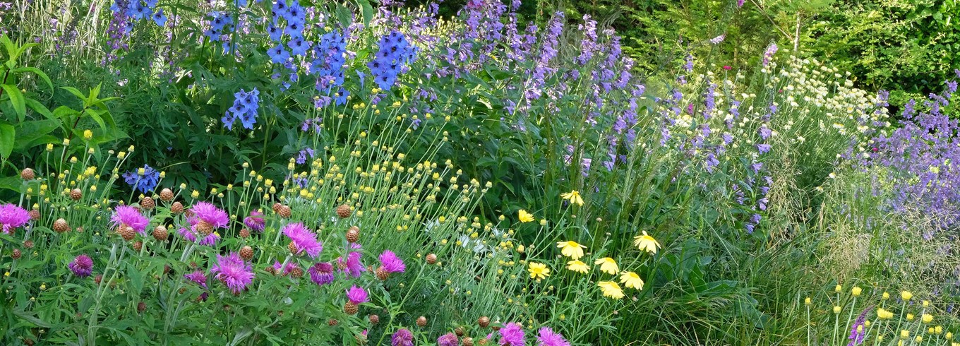 Foto: Flickr/Natural England/Peter Roworth