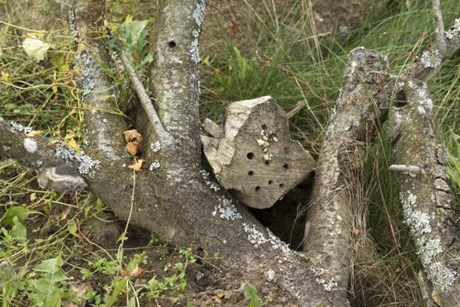 Foto: Ann Malmgren