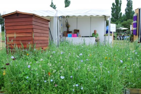 Cph Garden - En blomstrende mark. Foto: Haveselskabet