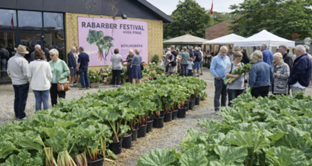Rabarber Festival