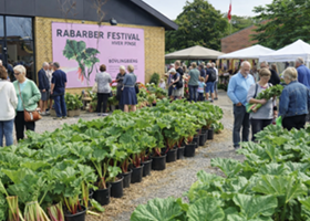 Rabarber Festival