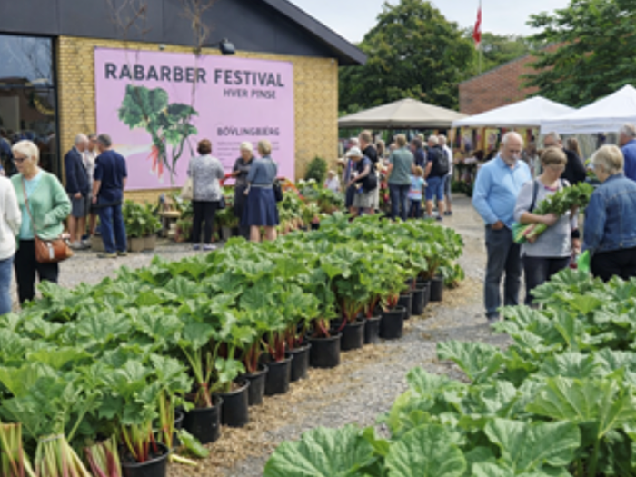 Rabarber Festival