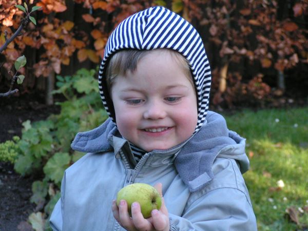 Lille barn med æble. Foto: Ukendt kilde