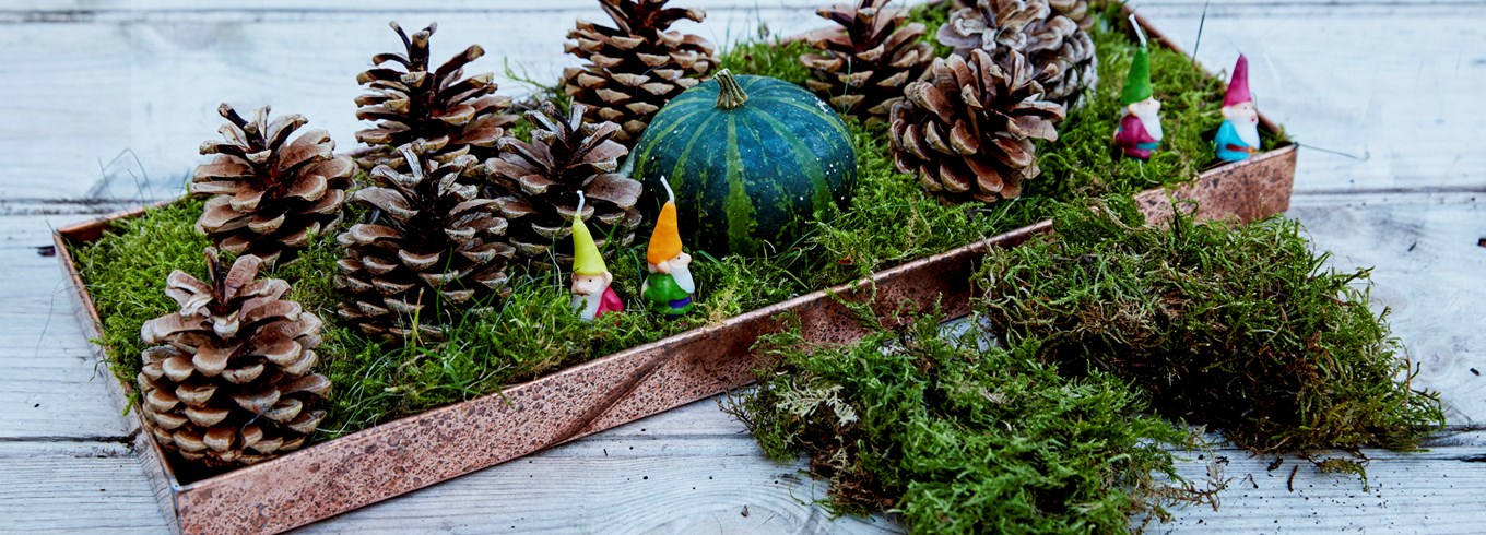 Juledekoration med mos og kogler. Foto: Martin Sølyst
