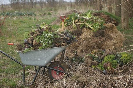 Kompostbunke med haveaffald. Foto: Karna Maj