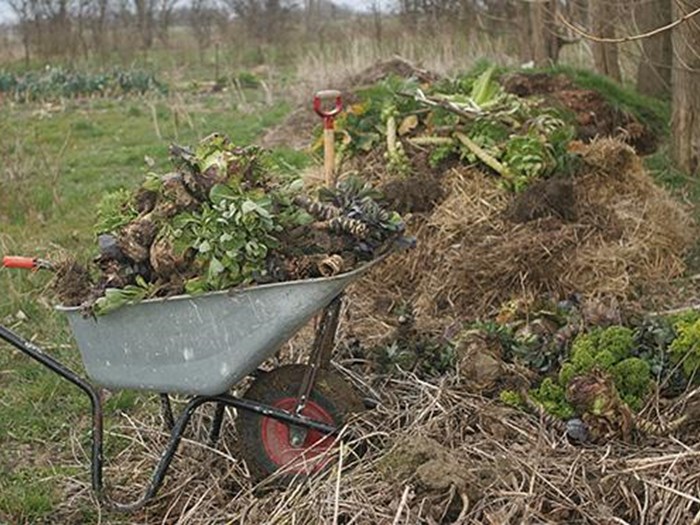 Kompostbunke med haveaffald. Foto: Karna Maj