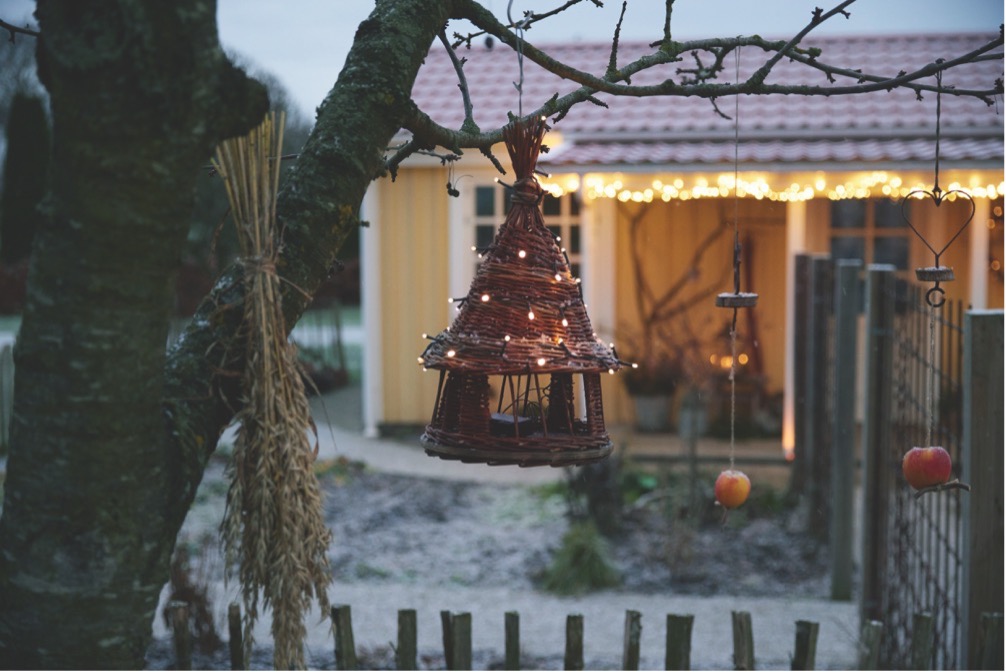 Julepyntet have hos Iben Bogut Andersen i Skibby, hvor fuglehuset har fået lyskæde, og der er hængt æbler og neg til fuglene. Foto: Thomas Evaldsen