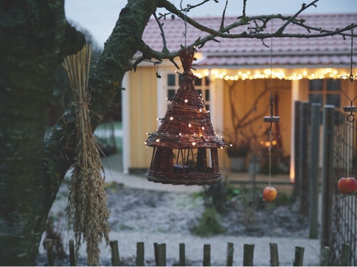 Julepyntet have hos Iben Bogut Andersen i Skibby, hvor fuglehuset har fået lyskæde, og der er hængt æbler og neg til fuglene. Foto: Thomas Evaldsen