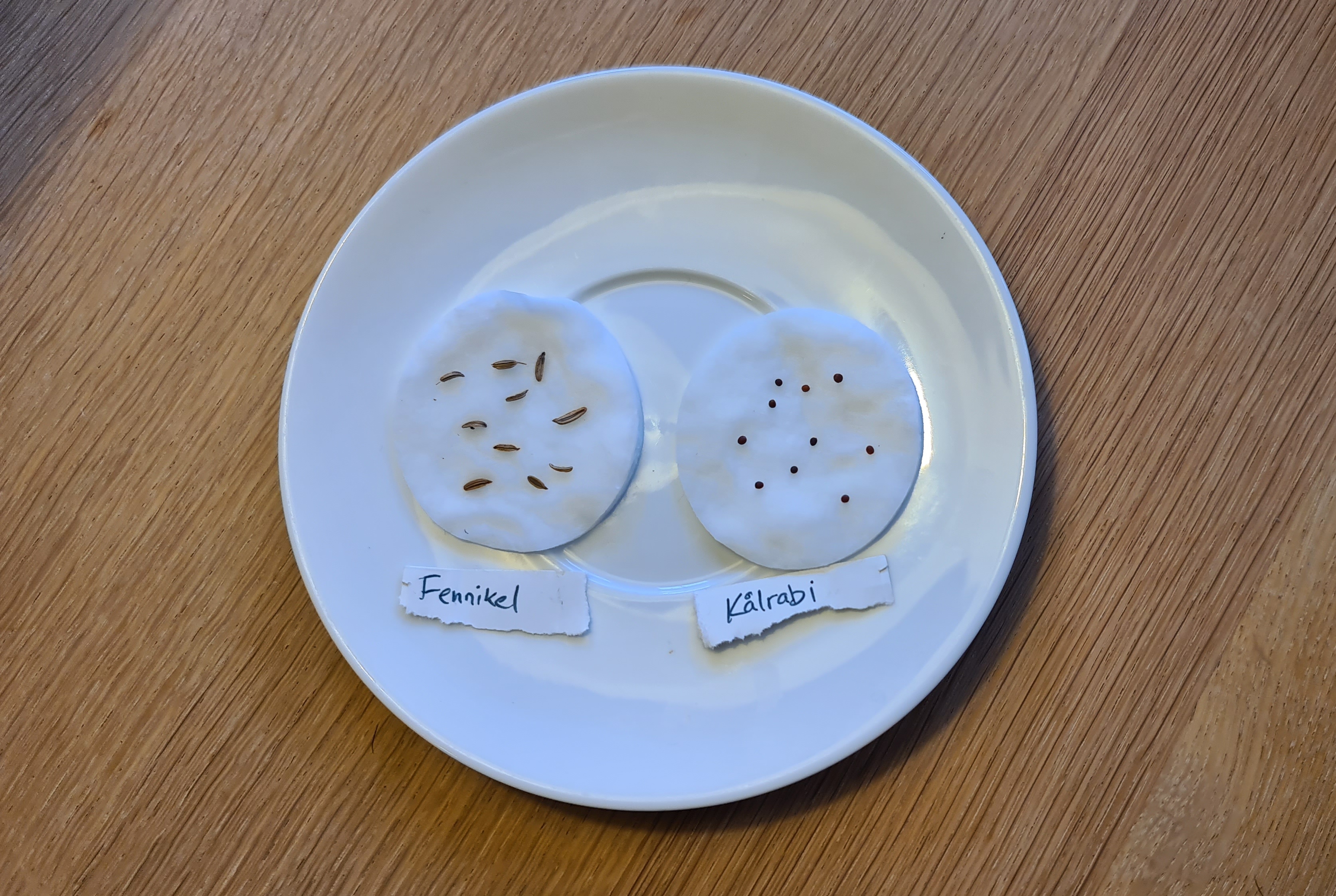 Spiretest. Foto: Haveselskabet