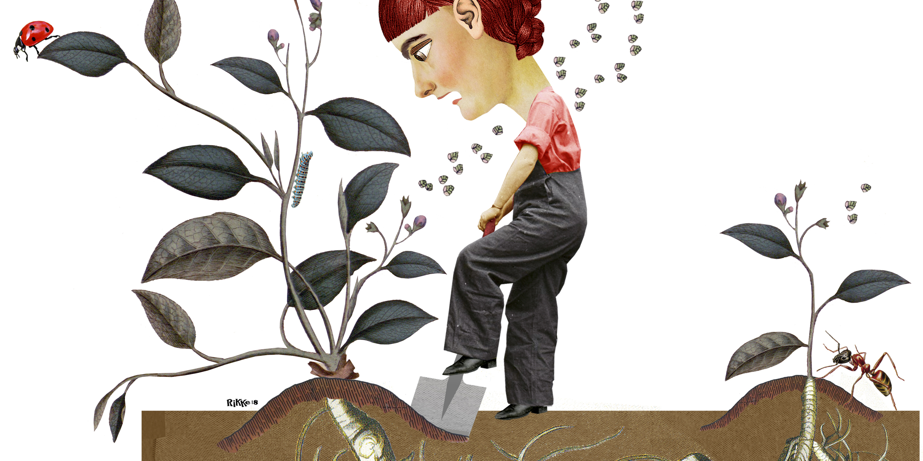 Invasive planter. Illustration: Rikke Bisgaard