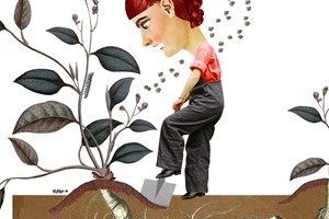 Invasive planter. Illustration: Rikke Bisgaard