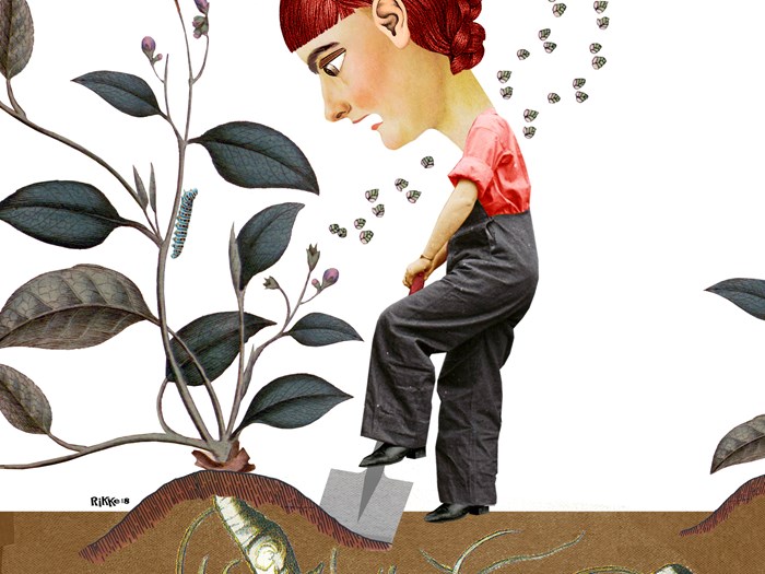 Invasive planter. Illustration: Rikke Bisgaard