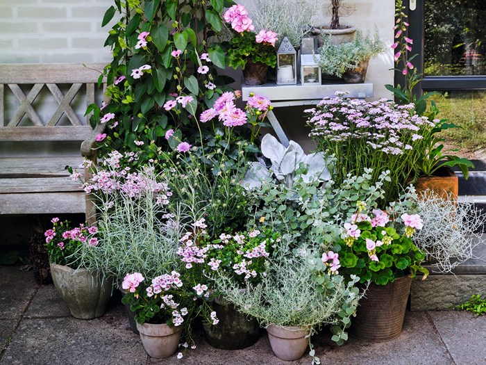 Sommerkrukker i rosa og grågrønne nuancer. Foto: Ann Malmgren