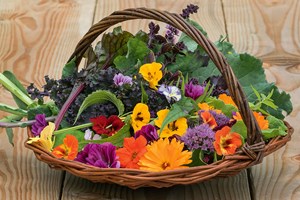 Nyhøstede spiselige blomster. Foto: Carsten Høyer