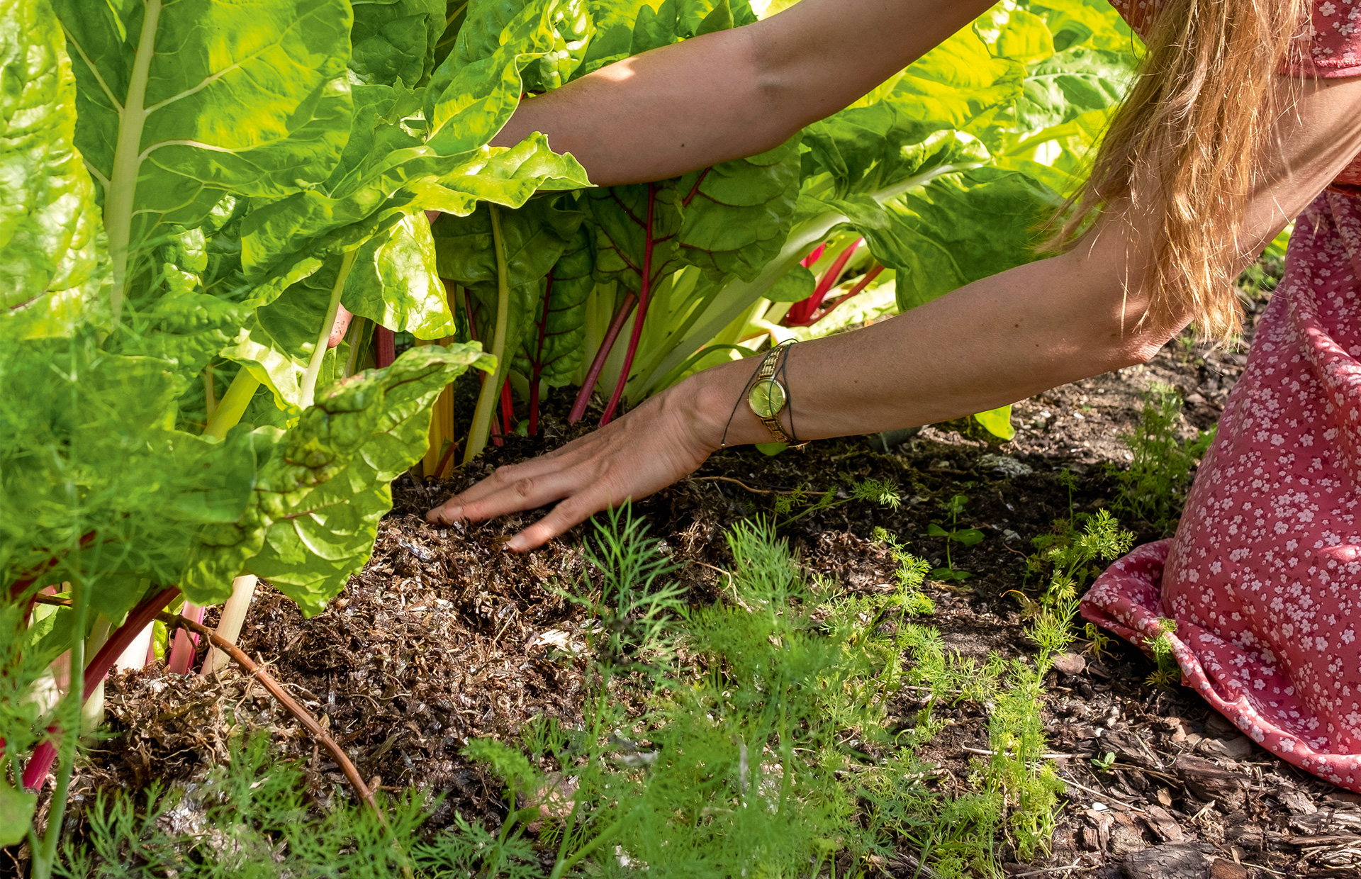 Foto: Hanne Gabel Christensen