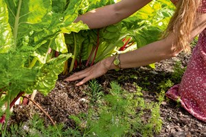 Foto: Hanne Gabel Christensen