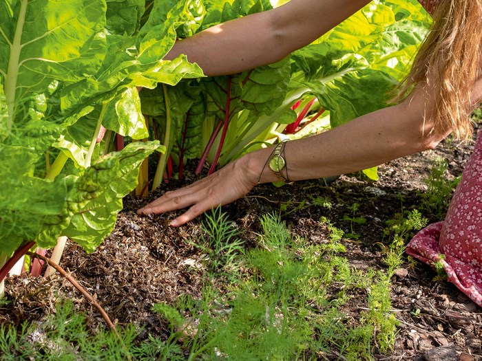 Foto: Hanne Gabel Christensen