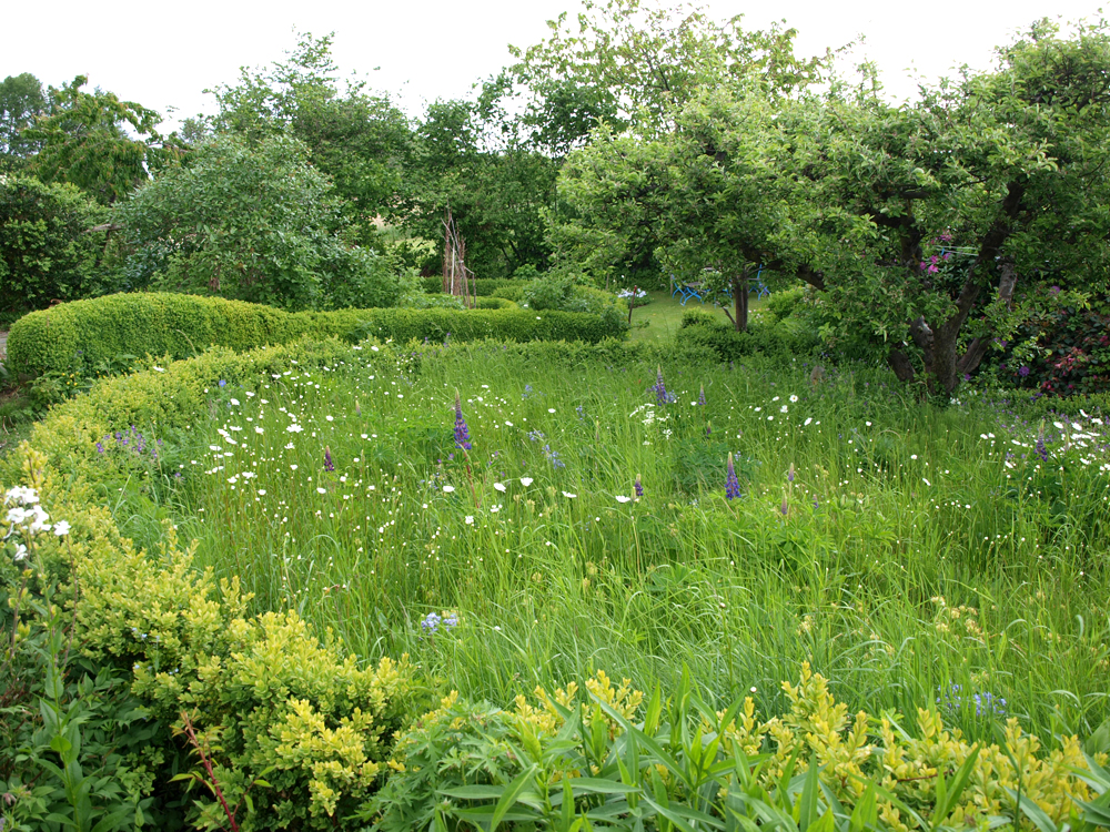 Blomstereng indrammet af buksbomhæk. Foto: Mette Rønne