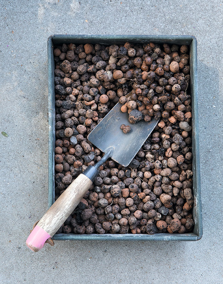 Lecakugler er et typisk materiale til dræn i krukker. Foto: Ann Malmgren