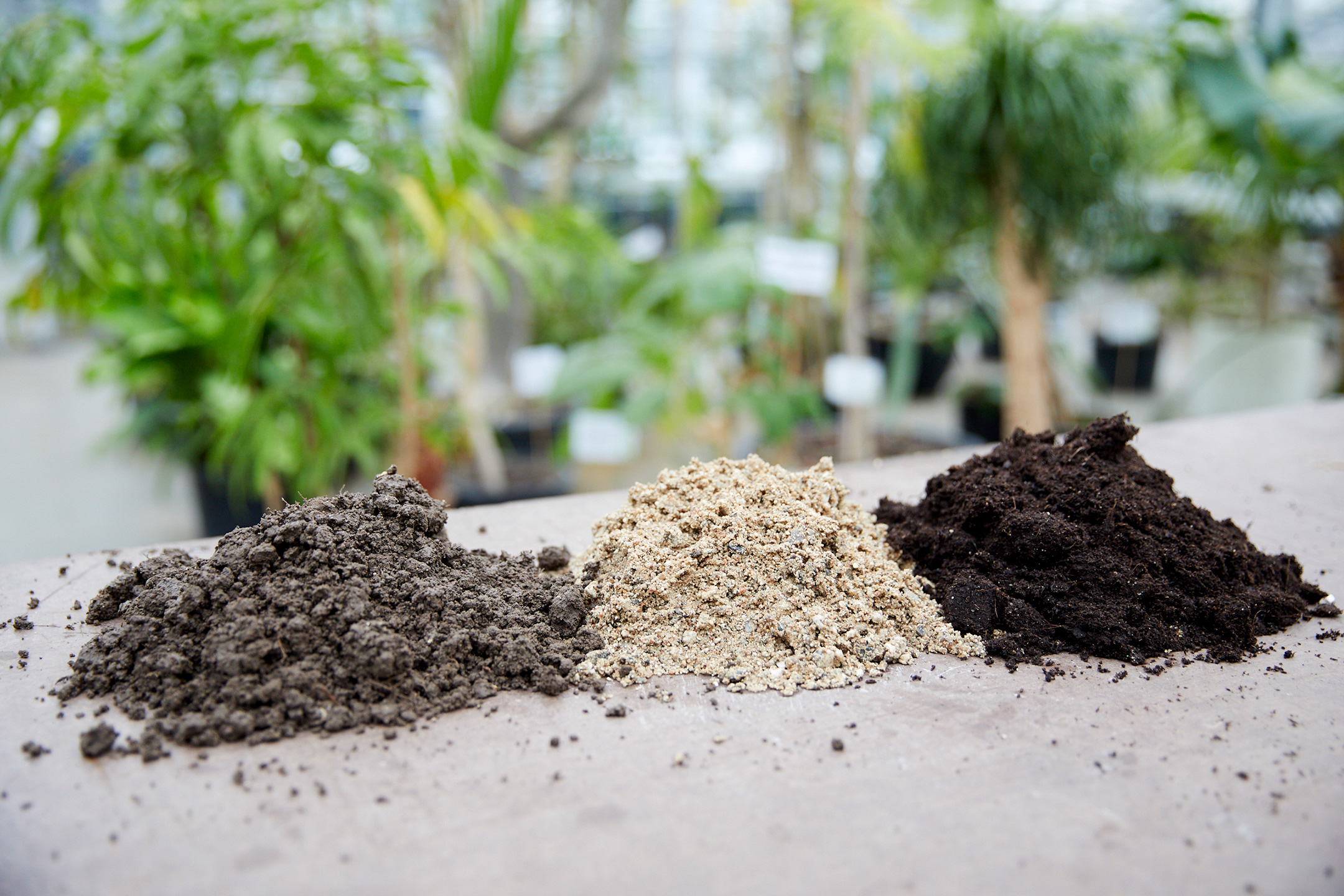 Havejord, groft sand og kompost. Foto: Thomas Evaldsen