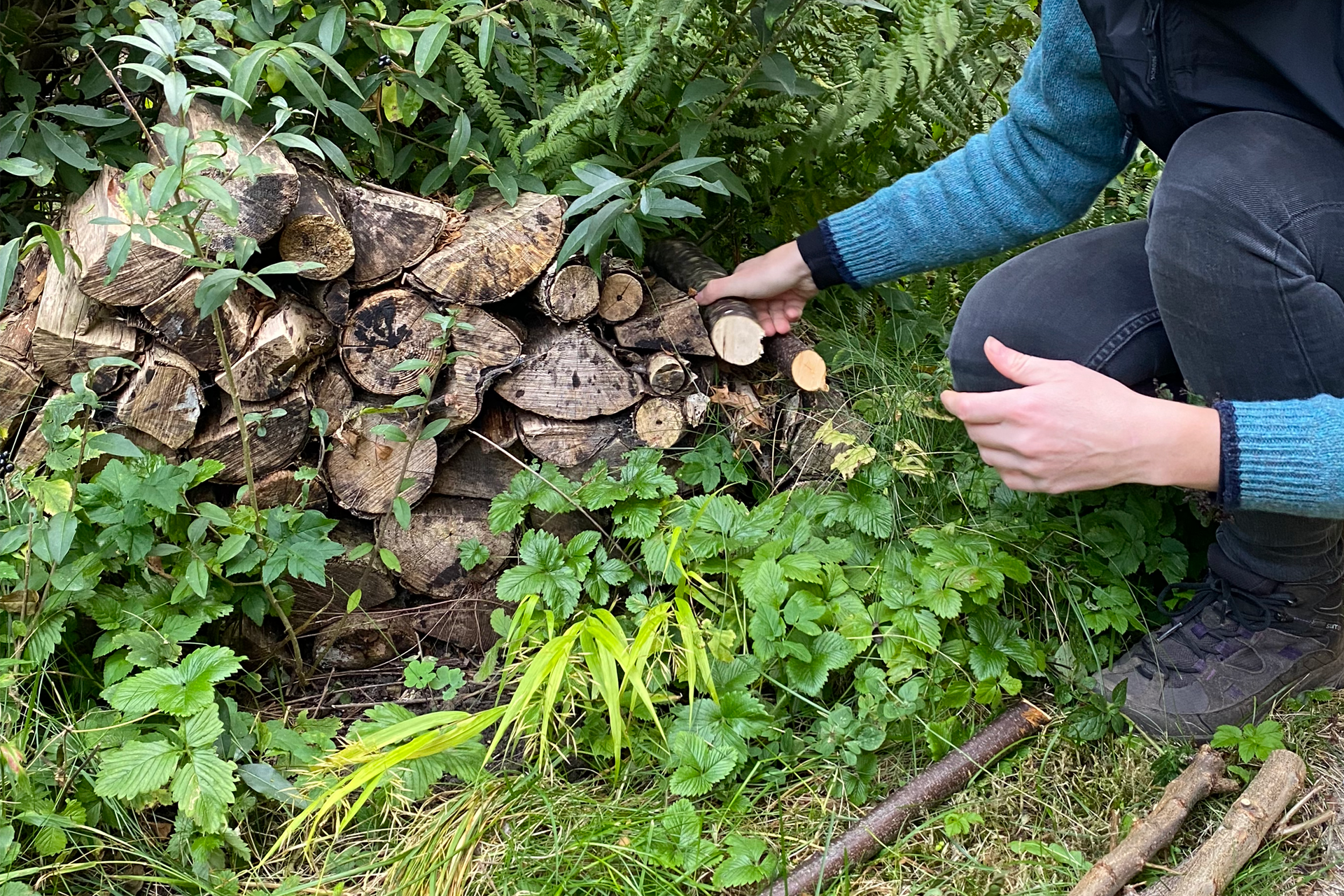 En lille brændestabel af tykke grene. Foto: Haveselskabet